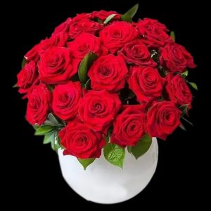 classic-red-roses
