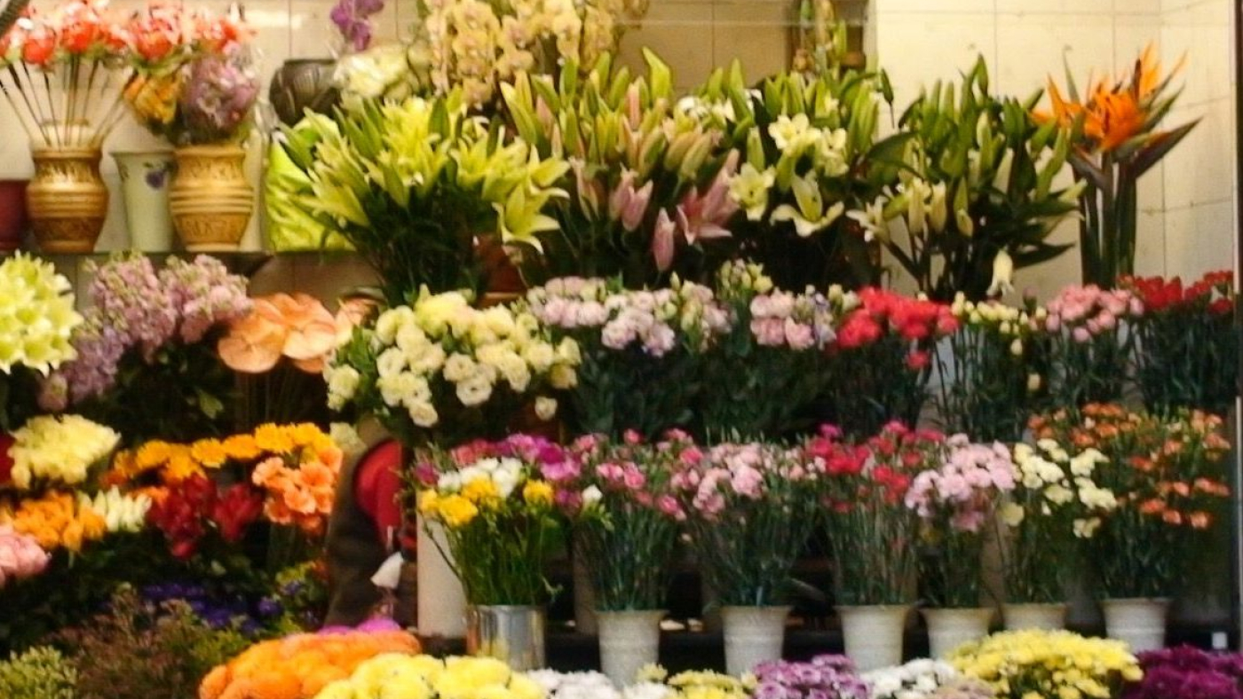 flowers shop