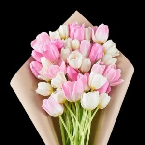 happy-tulips
