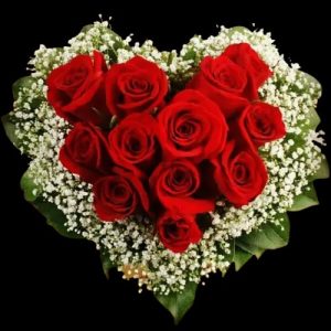 heart-palpitation-roses